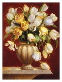 Tulip Majesty