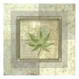 Buy Leaf Carre I at AllPosters.com