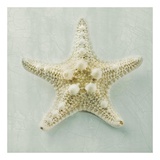 Ocean Jewel III