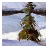 Buy Majestic Winter (detail no. 1) at AllPosters.com