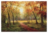 A Beautiful Walk in the Fall