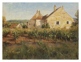 Vineyard Cottages in Jully