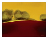 Buy Shaman Way at AllPosters.com