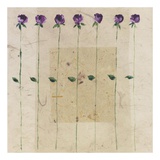 Buy Essential Nature II at AllPosters.com