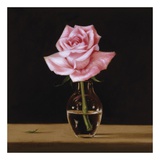 Buy Pink Rose at AllPosters.com