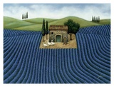 Buy Lavender Field at AllPosters.com