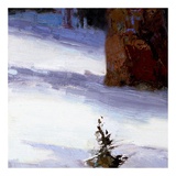 Buy Majestic Winter (detail no. 4) at AllPosters.com