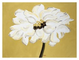 Buy White Flower On Ochre at AllPosters.com