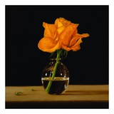 Buy Orange Rose at AllPosters.com