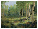 Aspen Meadow