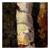 Buy Beautiful Winter (detail no. 4) at AllPosters.com