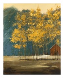 Buy Blue Sage Valley at AllPosters.com