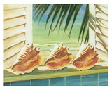 Buy Conched Out at AllPosters.com