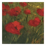 Buy Poppies of Toscano II, no. 13 at AllPosters.com