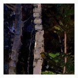 Buy Majestic Winter (detail no. 8) at AllPosters.com