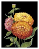 Buy Midnight Bloom II at AllPosters.com