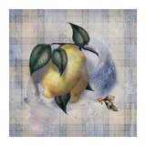 Buy Tartan Fruit, Lemon at AllPosters.com