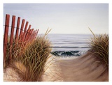 Buy Beach Path at AllPosters.com