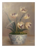 Buy Olivia's Flowers III at AllPosters.com