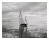 Buy Soft Breeze at AllPosters.com