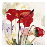 Buy Crimson Poppy II at AllPosters.com