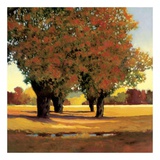 Buy Allee En Greenbrier at AllPosters.com