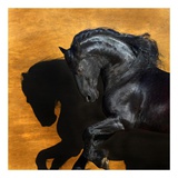 Buy Fabiano III at AllPosters.com