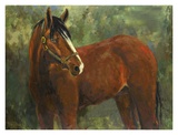 Buy Le Cheval at AllPosters.com