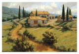 Buy Italian Cypress at AllPosters.com