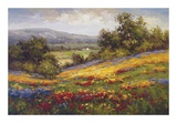 Campo di Fiore I