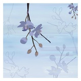 Buy Zen Blossoms IV at AllPosters.com