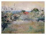 Buy Apple Orchard at AllPosters.com