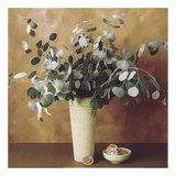 Buy Eucalyptus and Oranges at AllPosters.com