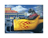 Kool Kat