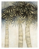 Buy Bamboo Canopy One at AllPosters.com