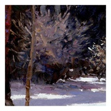 Buy Beautiful Winter (detail no. 5) at AllPosters.com