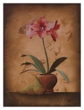 Buy Floral Textures I at AllPosters.com