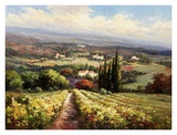 Italian Vineyards