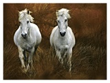 Buy Carmagne in the Reeds at AllPosters.com