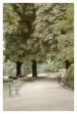 Buy Morning In The Park III at AllPosters.com