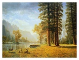 Hetch Hetchy Valley, California