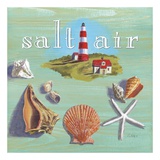 Buy Salt Air at AllPosters.com