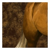 Golden Boy I (detail no. 4)