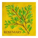 Buy Rosemary at AllPosters.com