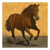 Buy Adobe Run III at AllPosters.com