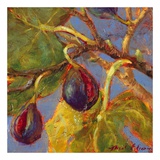 Buy Ripe Figs at AllPosters.com