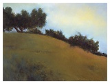 Buy Ojai at AllPosters.com