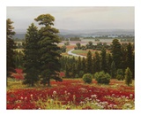 Buy Blooms Above the Valley at AllPosters.com