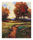 Late Noon Path I