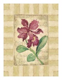Buy Belle Fleur IV at AllPosters.com